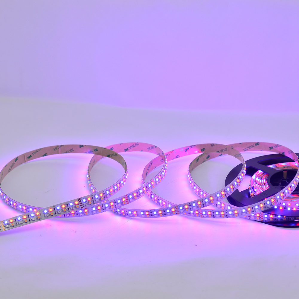 RGBW Multi Color LED Lights Strips - 24V 240LEDs/m High Density LED Strip - Dual Row RGBW Multi Color LED Lights Strips - 24V 240LEDs/m High Density LED Strip - Dual Row